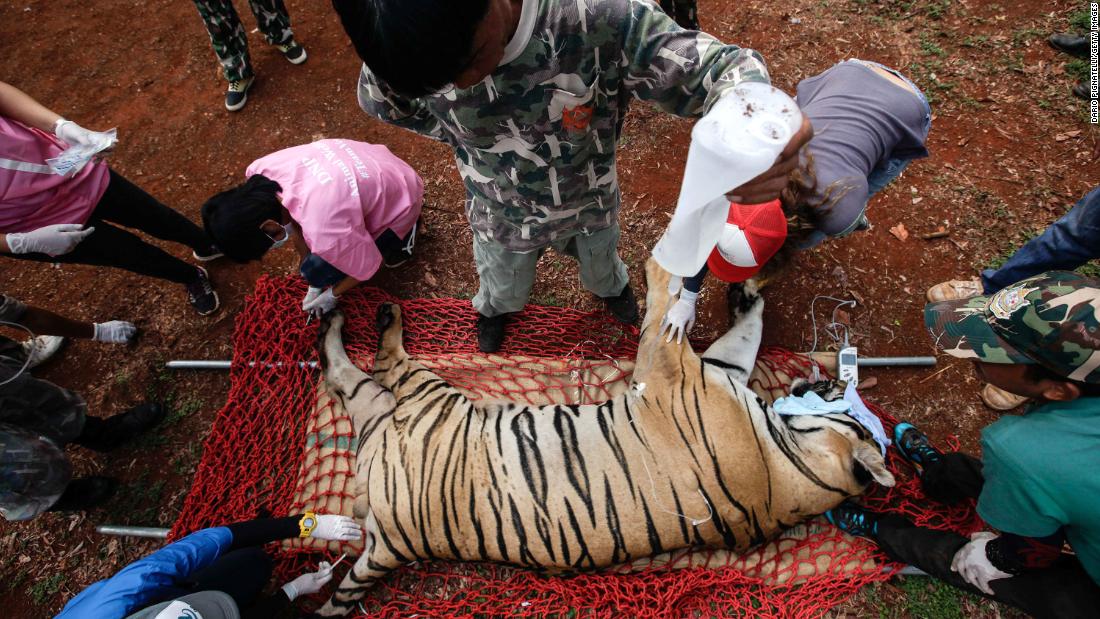 Five charged after raid on Thailand's 'Tiger Temple' (2016)