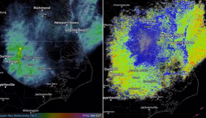 There are so many dragonflies that they're showing up on weather radar