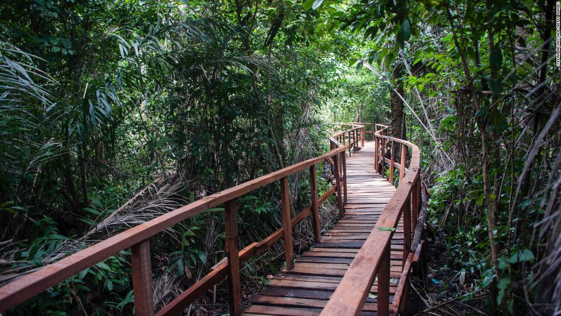 &lt;strong&gt;Lekki Conservation Centre, Lagos:&lt;/strong&gt; A walk high above the ground on Africa&#39;s longest canopy walkway is also a chance to explore nature. The Lekki Conservation Centre offers a serene escape from the hustle and bustle of Lagos, Nigeria&#39;s commercial capital.