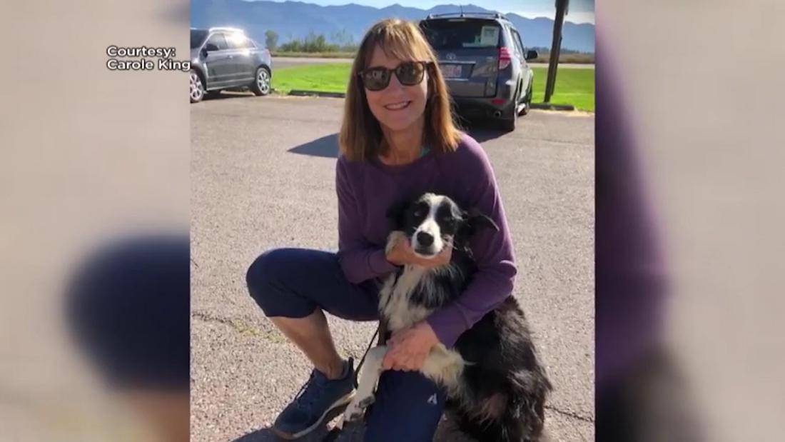 Una Mujer Renunció A Su Trabajo Para Buscar A Su Perrita Perdida - Cnn 