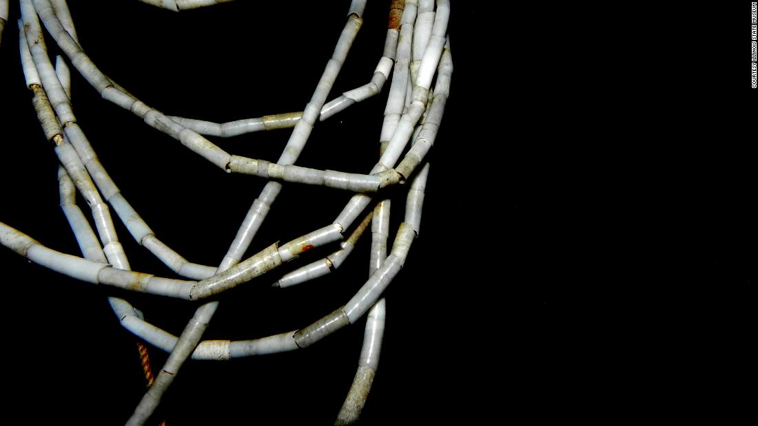 A closeup view of a dentalium (tusk shell) necklace from Bardi Jawi.