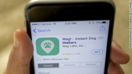 Wag was built to be &quot;a button on the phone for dogs,&quot; according to one of its founders. Even with its massive cash infusion last year, the app has struggled to keep pace with rival Rover.