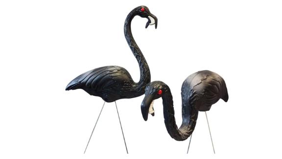 36 HQ Pictures Black Flamingos Yard Decor / 27 Pink Flamingo 50 Pack Southern Patio