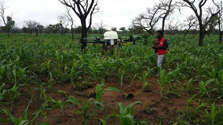 Acquahmeyer's drones check leaf color and soil quality, producing reports on the crop's health.