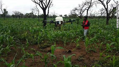 Acquahmeyer&#39;s drones check leaf color and soil quality, producing reports on the crop&#39;s health.