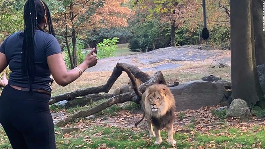 The woman accused of entering the Bronx Zoo lion enclosure was arrested |  CNN