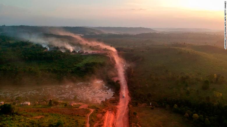 The Amazon Rainforest Could Disappear In Less Than 50 Years Once ...