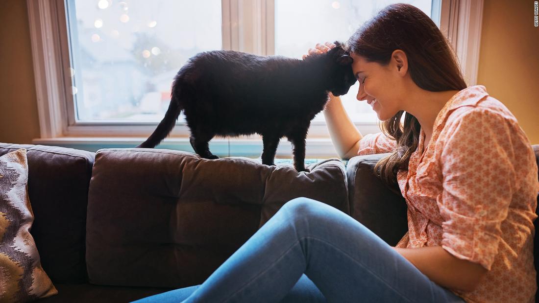 Don&#39;t worry, cat lovers. A &lt;a href=&quot;https://www.ncbi.nlm.nih.gov/pmc/articles/PMC3317329/&quot; target=&quot;_blank&quot;&gt;2009 study&lt;/a&gt; found a lower risk of death by heart attack and overall cardiovascular disease among cat owners, even if they no longer lived with their fluffy friend. 
