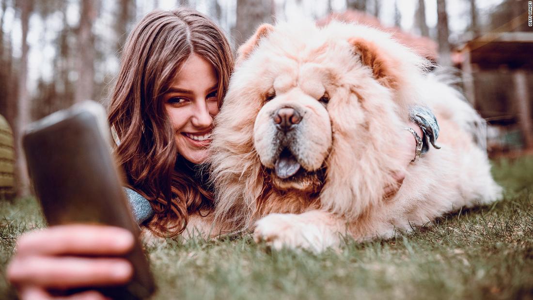 Pets foster connections that can continue as the child grows, such as through the use of social media. Some pets even have their own Facebook pages.