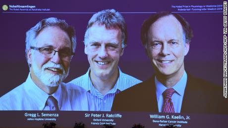 Nobel Prize in Medicine awarded for new discovery on how humans respond to oxygen