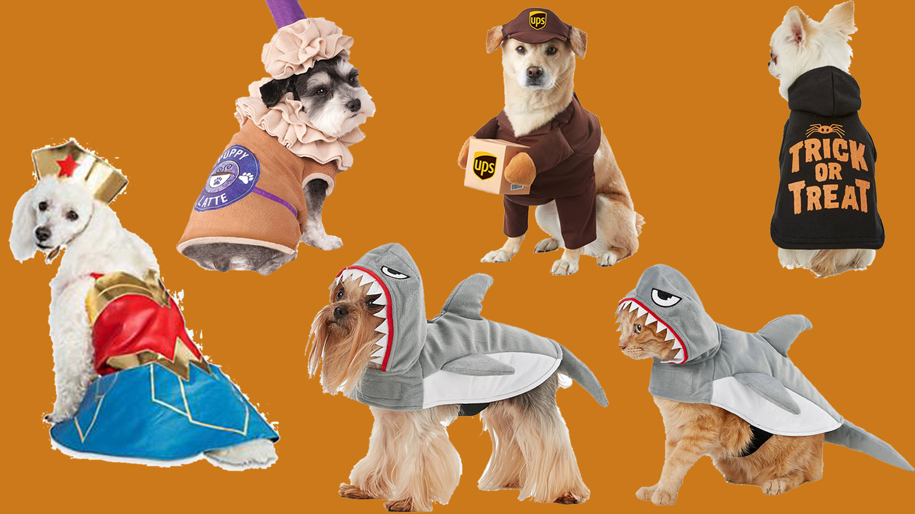 dog wrestling costume