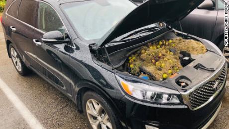 After noticing a burning smell coming from their car, a couple found this surprise under the hood.