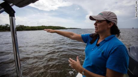 Audubon scientist Brooke Bateman looks at the birds in the Alafia Bank Sanctuary near Tampa.