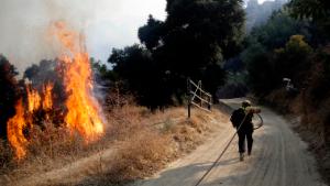 A firefighter runs up a fire road to hose down flames from a wildfire Saturday, Oct. 12, 2019, in Newhall, Calif. Los Angeles Fire Department spokesman Brian Humphrey said the bulk of the fire at the city's edge had moved away from homes and into rugged hillsides and canyons where firefighters were making steady progress slowing its advance. (AP Photo/Marcio Jose Sanchez)