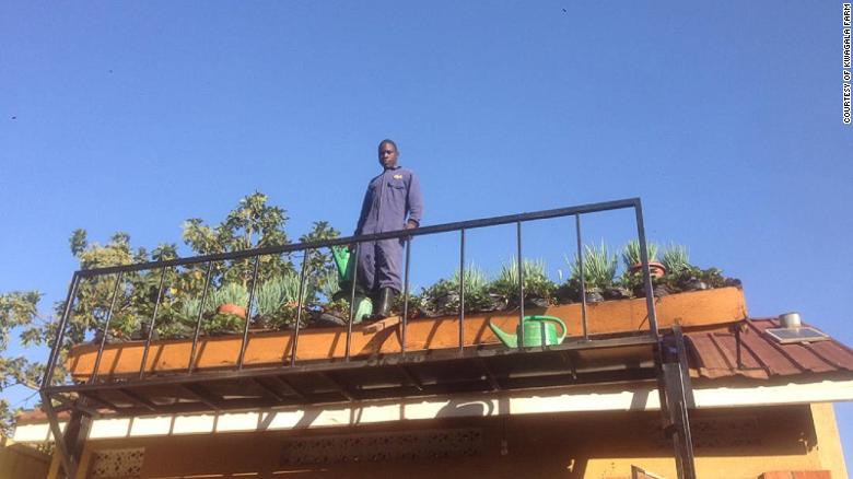 In Kampala, Uganda, city dwellers are taught to grow produce on their rooftops.