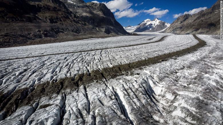 Zvicra po humbet akullnajat e saj me rritjen e temperaturave.