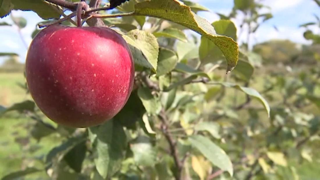 apple orchard moline il