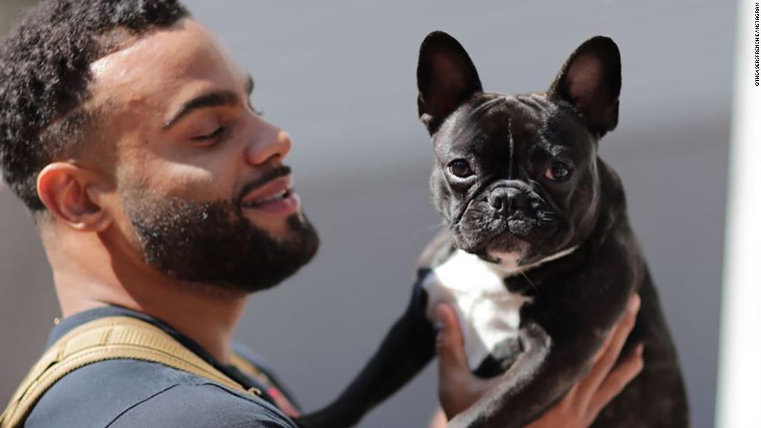 These Bay Area French bulldogs are the official team support animals for  the San Francisco 49ers - ABC7 San Francisco