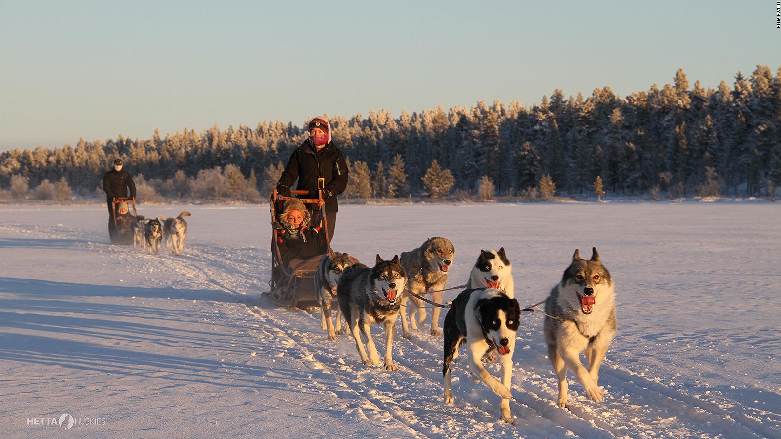 how many huskies to pull a sled