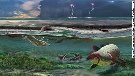 Newly discovered strange 'grinning' crocodile-like creature lived 372 million years ago