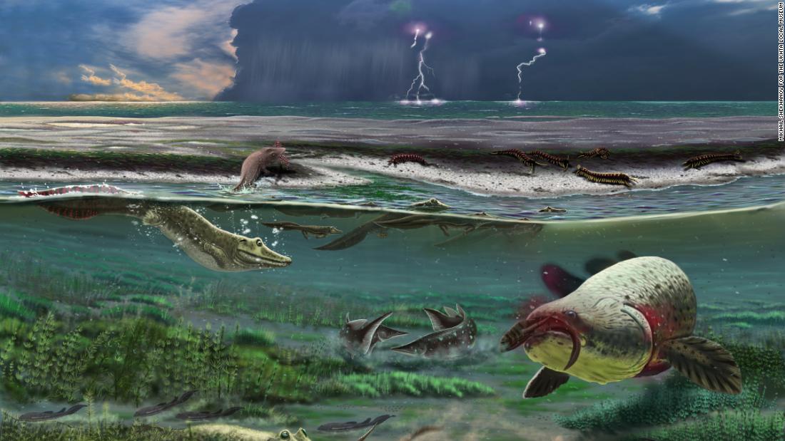 The Sosnogorsk lagoon as it likely appeared 372 million years ago just before a deadly storm, according to an artist&#39;s rendering. The newly discovered tetrapod can be seen in the left side of the image below the surface.