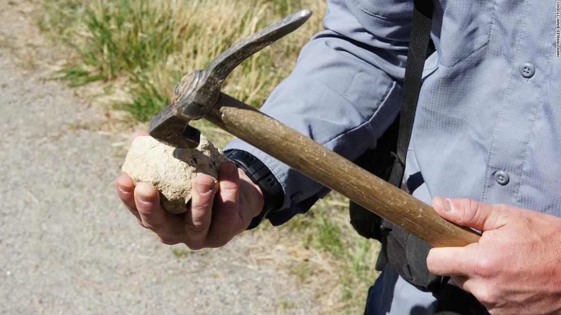 Tyler Lyson used a rock hammer to split open concretions found at the site. Concretions are egg-shaped rocks that form around an organic nucleus like bone.