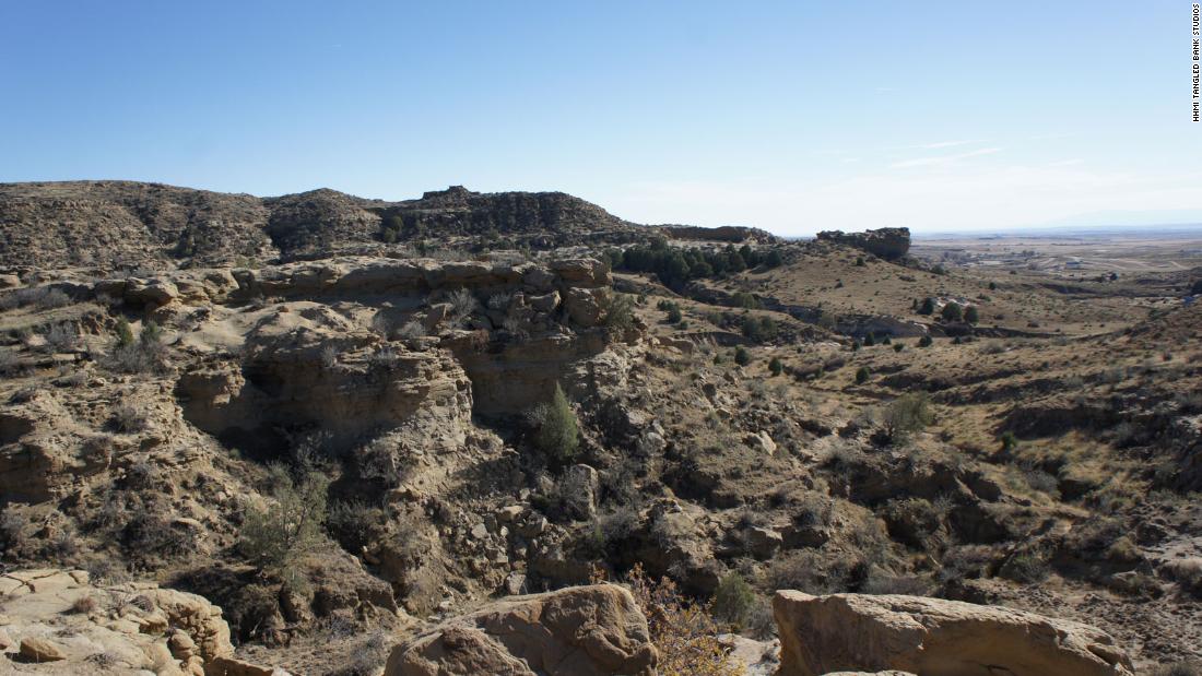 Corral Bluffs contains 300 vertical feet of rock, including hard yellow sandstone and mudstones, which represent ancient rivers and floodplains, respectively.