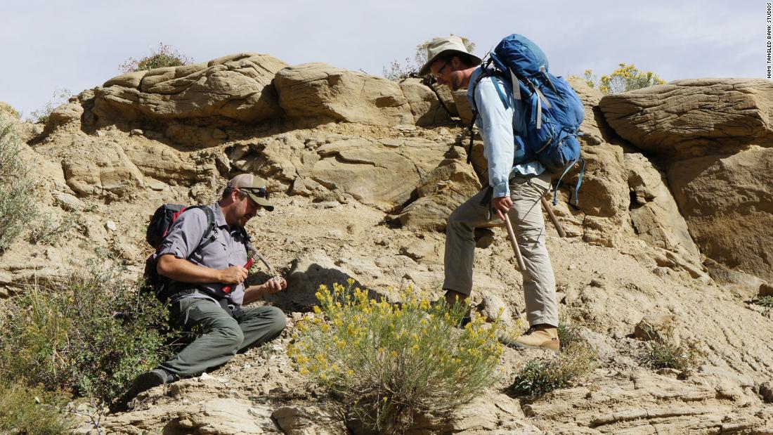 Ian Miller (left) and Lyson found a wealth of fossils representing not just animals, but plants as well. 