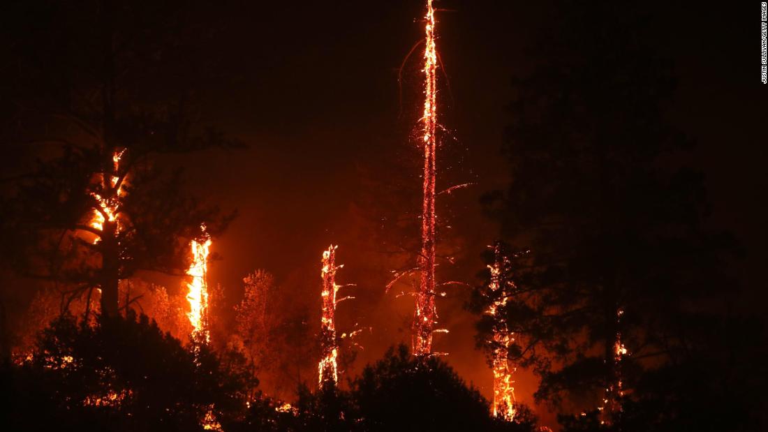 Trees burn as the fire engulfs a hillside in Geyserville.