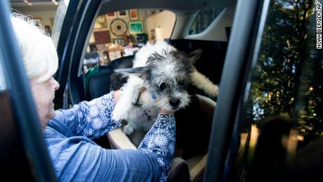 Sandy Beddow evacuated with her dog Saturday as the Kincade Fire burned nearby. 