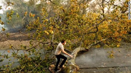 Brennan Fleming jumps a fallen tree while helping his girlfriend evacuate horses stranded by the Kincade Fire in Healdsburg, Caliornia, on October 27.