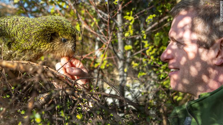 Andrew Digby has a chat with a kakapo.