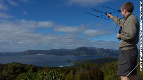 Andrew Digby uses an aerial to monitor birds on Whenua Hou.