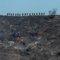 03 ca wildfires getty fire 1028