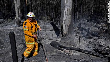72 bush and grass fires are ablaze in the state, which is home to a koala breeding hotspot, experts say.