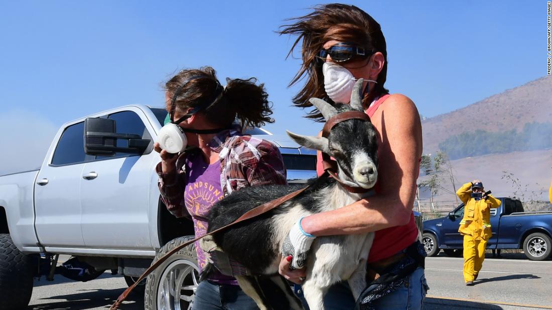 Laura Horvitz, right, and Robyn Phipps help rescue goats from a ranch near the Reagan Presidential Library.