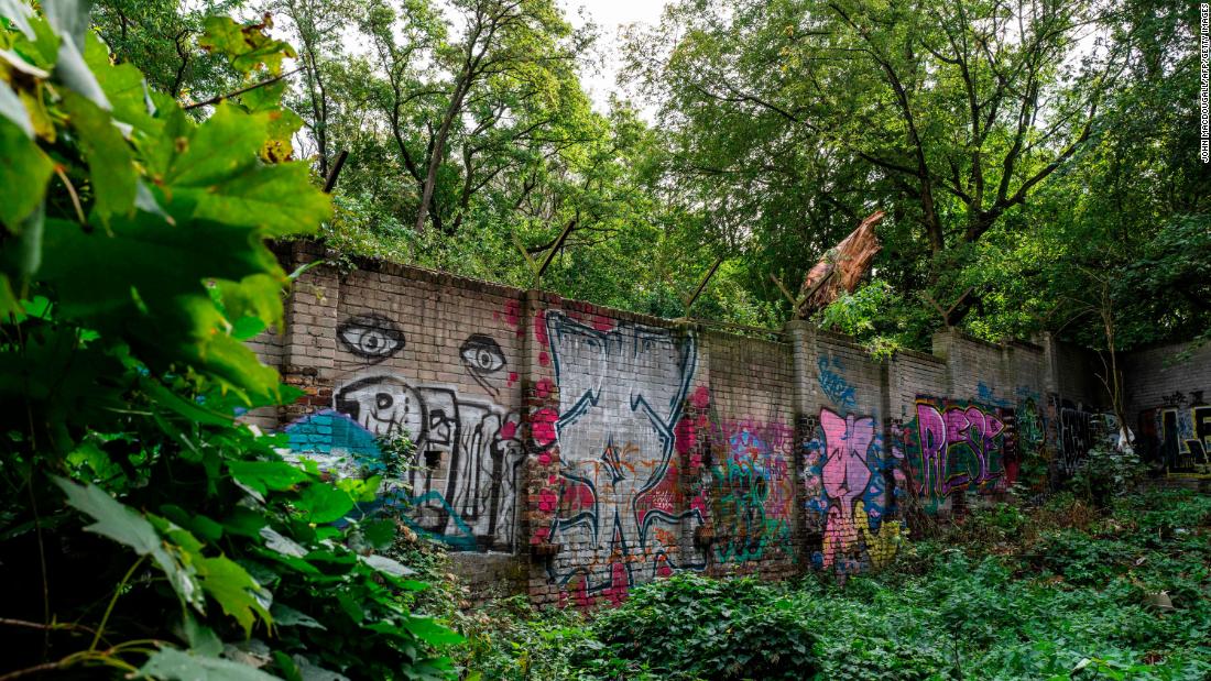 A graffiti-covered, overgrown segment of the original Berlin Wall, pictured in September 2019.