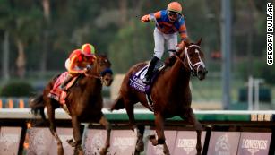 Breeders Cup Classic Death of another horse mars elite race CNN