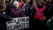 &#39;Climate strike&#39; named Collins&#39; word of the year for 2019