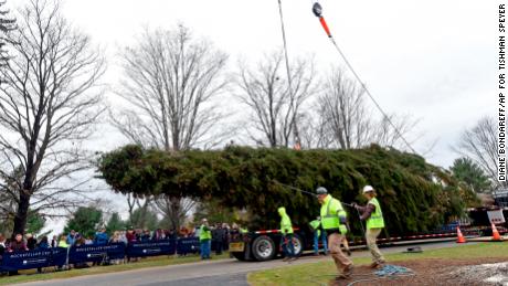 The future Rockefeller Christmas tree was cut down, and it&#39;s on its way to Manhattan