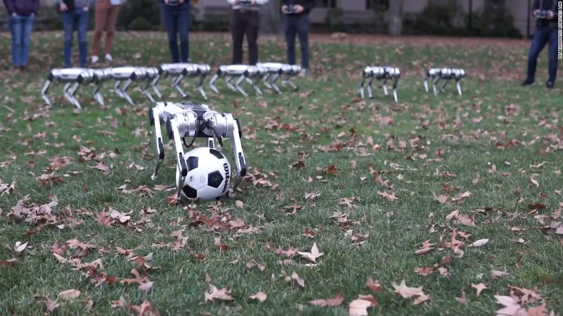These dog-like robots do backflips and play soccer. Yes, they're adorable
