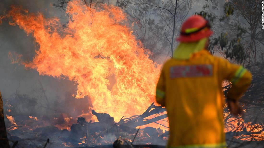 Dozens of 'catastrophic' Australia bushfires are killing people and koalas