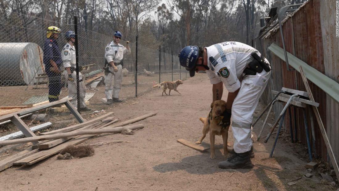 Emergency crews tend to animals on a property in Torrington on November 11.