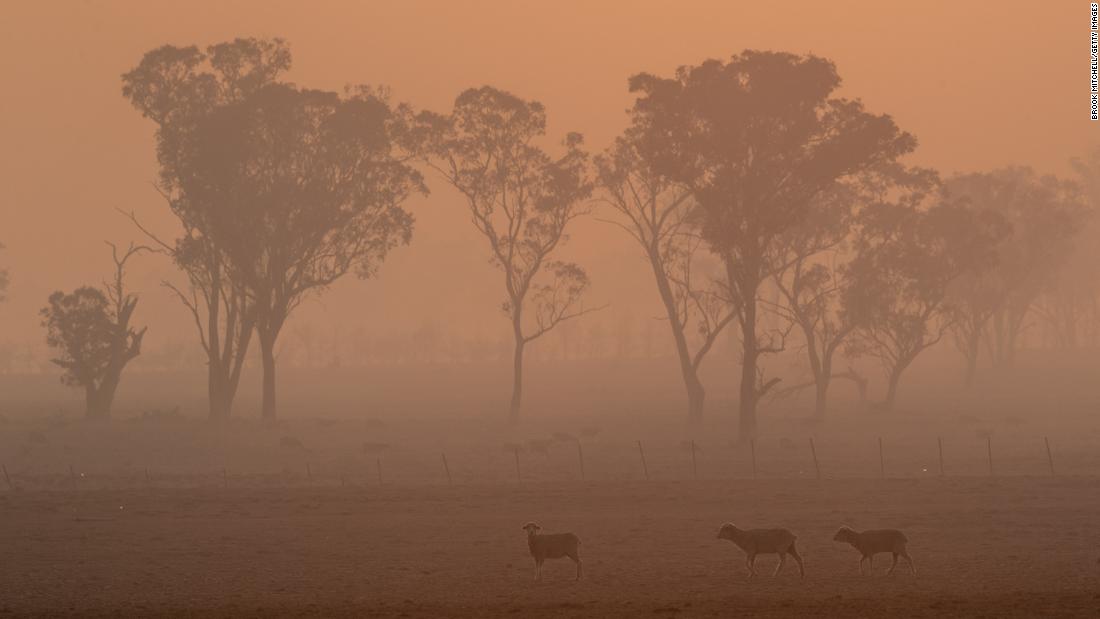 Smoke from the Gulf Road Fire fills the air in Glen Innes on November 11.