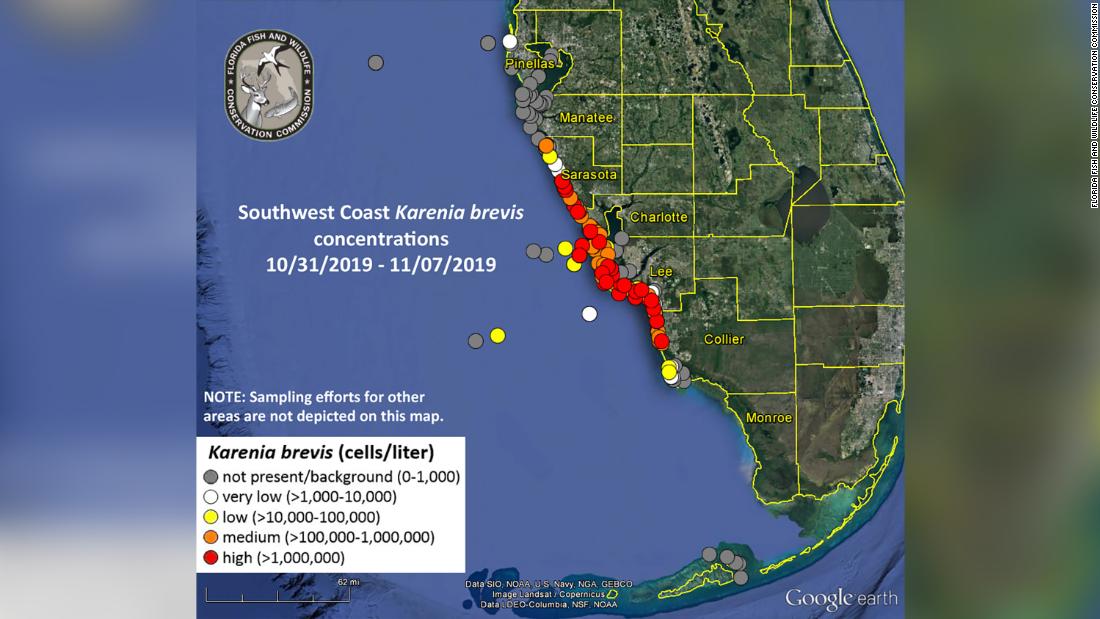 Red tide is back off the coast of Florida. Residents aren't sure how