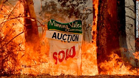 Firefighters battle historic blazes as much of rural New South Wales burns