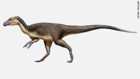 Recent research suggests that there used to be feathered dinosaurs in the South Pole.