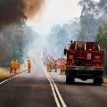 04 australia fires 1114 CROP