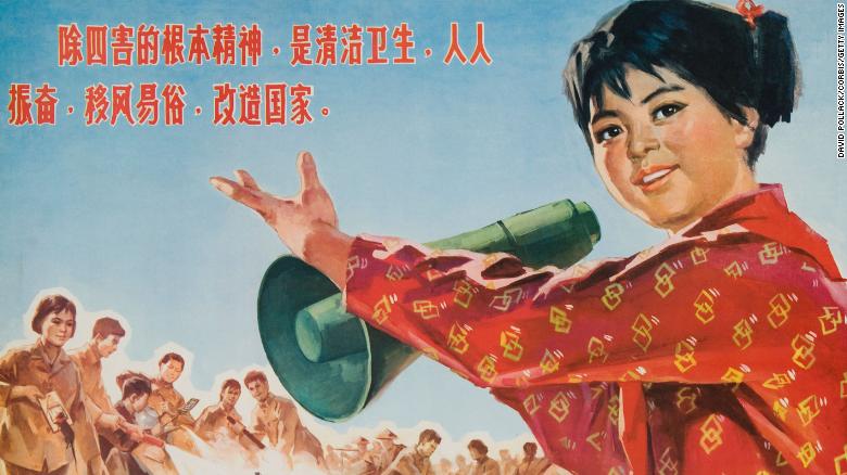 Chinese Cultural revolution poster about the so-called four pests: mosquitoes, rats, flies and sparrows. 