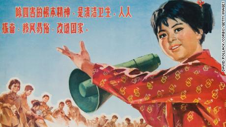 Chinese Cultural revolution poster about the so-called four pests: mosquitoes, rats, flies and sparrows. 